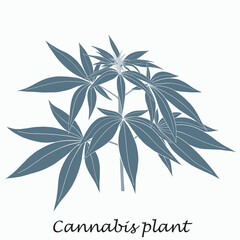 Simplicity cannabis plant freehand drawing flat design.