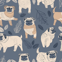 pug_001