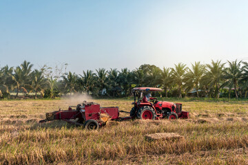 Agriculture work. Hay collecting in the summer evening in the countryside of Thailand. Tractor...