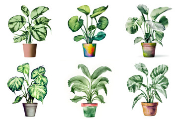 Fototapeta na wymiar set of watercolor houseplants in pots, isolated on white. generative ai