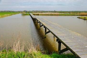 Long wooden walkbridge without railing across a small lake in a polder landscape near Schalkwijk,...