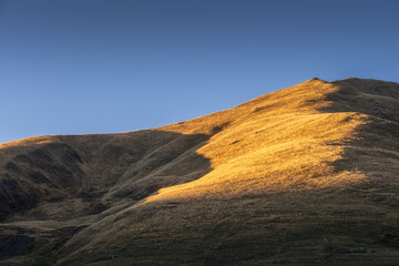 Golden daylight spreads on contour green field in sunny day during autumn season