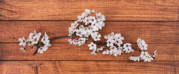tender branch of cherry with white flowers on a wooden background