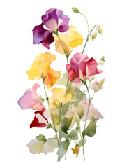 スイートピーの花の水彩イラスト／AI画像