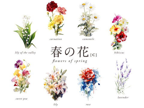 春の花の水彩イラスト8種Cセット／AI画像（バラ・カーネーション・スズラン・ユリなど）
