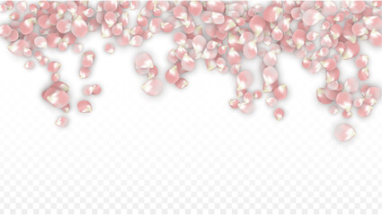 Pink Vector Realistic Petals Falling on Transparent Background.  Spring Romantic Flowers Illustration. Flying Petals. Sakura Spa Design. Blossom Confetti. Design Elements for Wedding Decoration.