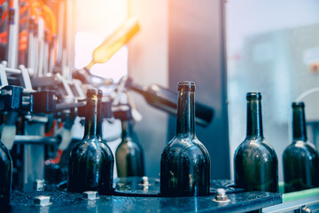 Automatic Rotary Bottle Rinsing Washing Machine Cleaning Line Conveyor Belt Machine In Beverage...