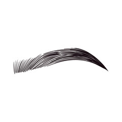 Black Eyebrow Illustration