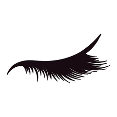 Black Beautiful Lash Drawing