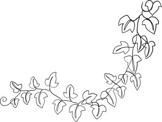 Simplicity ivy freehand drawing