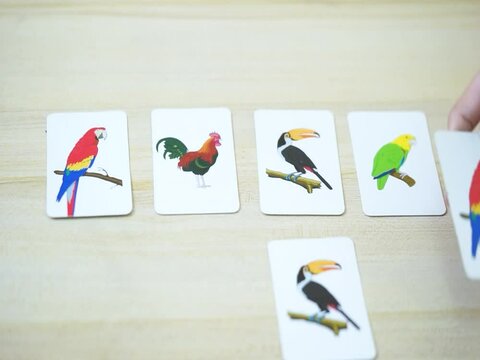 cognitive rehabilitatin brain training and brain exercise
