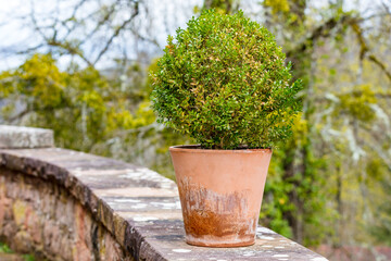 Burg Berwartstein in Erlenbach bei Dahn