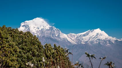 Photo sur Plexiglas Annapurna Beautiful view of Annapurna mountain range , Nepal