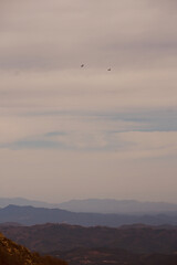Views of the eastern valleys from the Montseny mountain, Catalonia, Spain. 