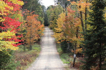 Fototapeta na wymiar Backcountry dirt road in the fall/autumn.