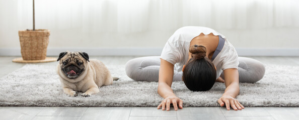 Asian woman doing yoga with her pug breed dog in a peaceful setting, cultivating a sense of harmony...