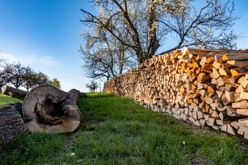 Frisch gesägtes und aufgesetztes Brennholz von alten Obstbäumen