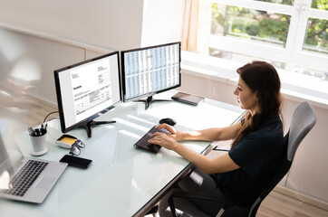 Accountant Using E Invoice Software At Computer
