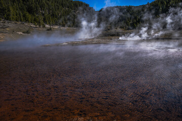 Yellowstone Hot Springs Geyser