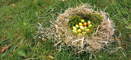 Colourful chocolate easter eggs in a nest on the garden lawn in spring season