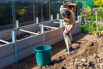 Construction of a raised bed with Edging Stones and double T steel profile filling with rough mulch and ground in Residential garden, private vegetable garden. Landscape design in home garden. 