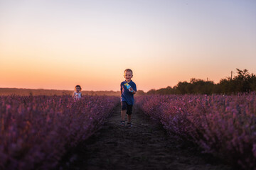 Playful cute boy girl are playing in rows of lavender purple field at sunset. Small couple runs after each other, catches up, holding hands. Cheerful, happy childhood. Travel in countryside. Allergy