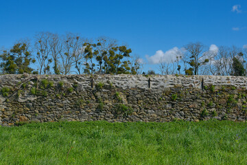 Végétation et mur d'enceinte - Parc de la Briantais à Saint-Malo