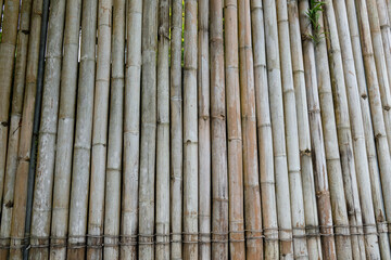 bamboo wall, Boracay, Philippines