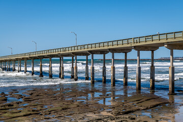 Fototapeta premium The Ocean Beach Pier
