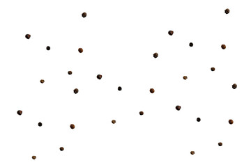 Black peppercorns, spicy seasoning for dishes. On a white background.