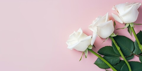 Flower setup on a solid background, with copy space, generative ai