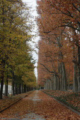Fototapeta premium Soviet War Memorial (Treptower Park)