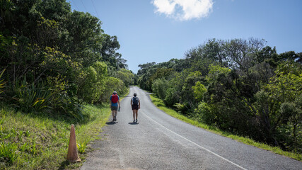 Fototapeta premium Two people walking on asphalt road on hot summer day. Waiheke Island.