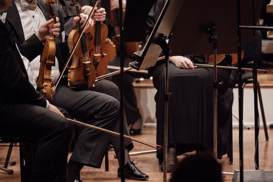 A violin section of a classical symphony orchestra dressed in tails, is ready to play a concert