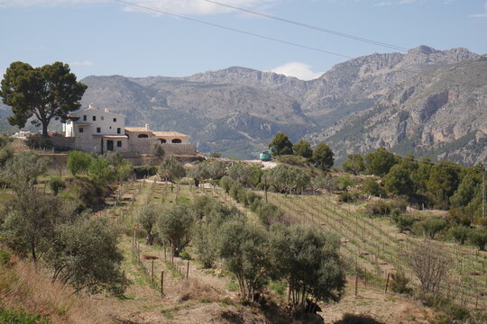 Villa española en una colina junto con sus campos