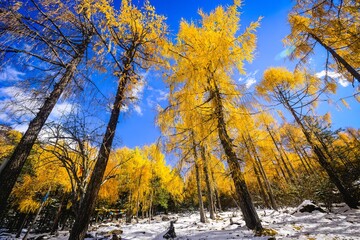 Spectacular scenery in the high mountains of western Sichuan, China, with different seasons