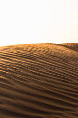 sand dunes in the desert