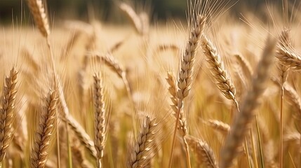 Obraz premium Wheat Generative AI