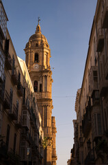 Malaga cathedral, Malaga city, Andalusia, Spain