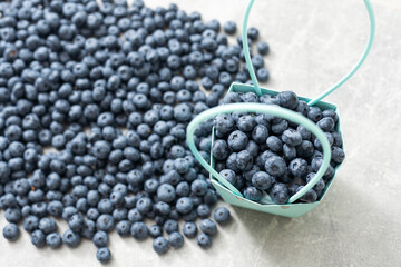 large blueberry with paper basket