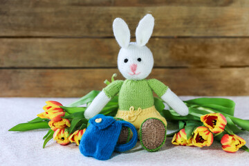 Knitted white rabbit with a rucksack stting among tulip flower with wooden board as background