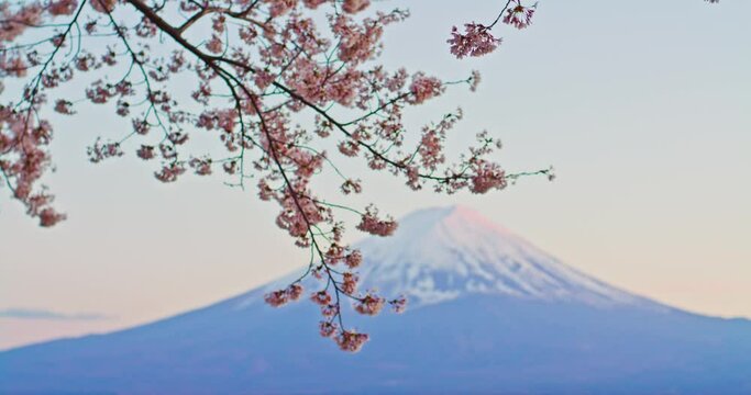 Mount Fuji and Lake Kawaguchi, Tokyo, Japan
