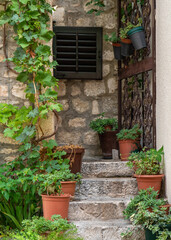 Fototapeta na wymiar Staircase with flower pots and entrance to the house. Tourist city in Croatia.