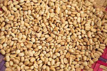Cofee beans drying close up