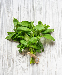 Fresh basil  herbs in a bunch. Aromatic healthy spices on a light wooden background.