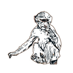 monkey color sketch with transparent background