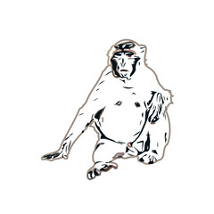 monkey color sketch with transparent background