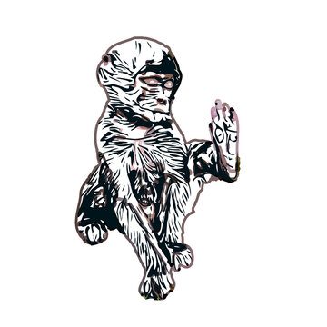 monkey color sketch with transparent background
