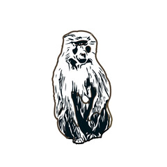 monkey color sketch with transparent background