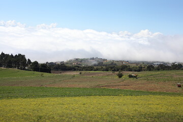 Obraz premium Paisaje, Cartago, Costa Rica. 